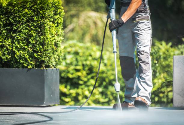 Best Sidewalk and Walkway Cleaning  in Caledonia, WI