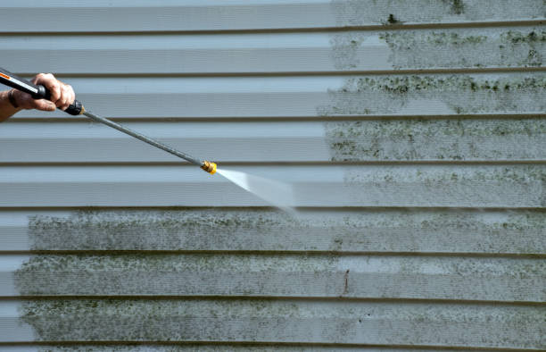 Best Fence Cleaning  in Caledonia, WI